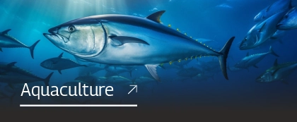 Samudrapumps- Aquaculture
