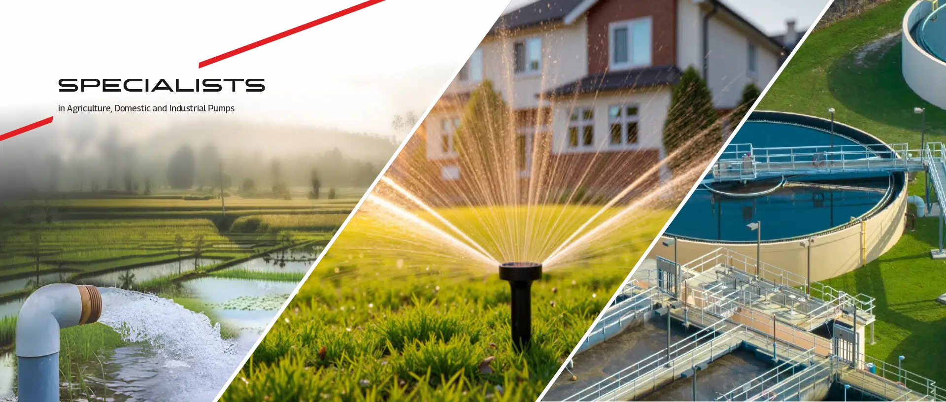 Description of the image